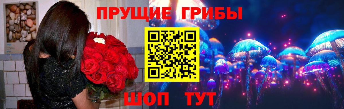 Псилоцибиновые грибы мухоморы Холмск